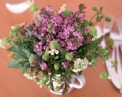 Tapeta Nature Flowers 171.jpg